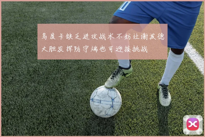 乌度卡缺乏进攻战术不妨让谢泼德大胆发挥防守端也可迎接挑战