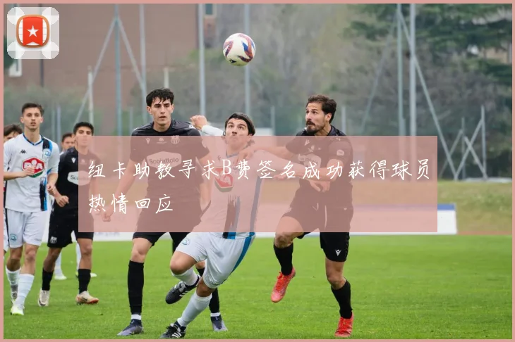 纽卡助教寻求B费签名成功获得球员热情回应